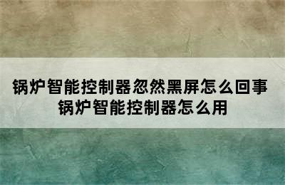 锅炉智能控制器忽然黑屏怎么回事 锅炉智能控制器怎么用